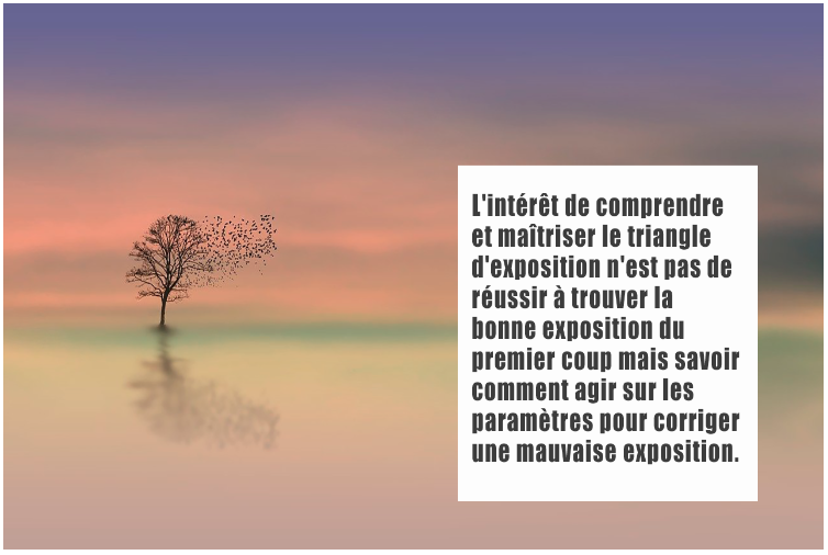 Capture d’écran 2022-12-22 à 18.47.32